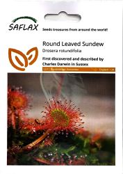Round Leaved Sundew Seeds